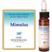 FORZA VITA FM Mimulus Mulus 10 ml of Floral Elixir - Buy Online on GoSupps.com
