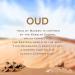 NASEEM Oud Aqua Perfume Alcohol Free With Composition Of Floral Oud Saffron Long Lasting Arabian Fragrance For Unisex Liquid Extrait De Parfum 80ml - Buy Online on GoSupps.com