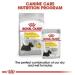 Royal Canin Dermacomfort Wet Pouches Adult Dog Food 85g (Pack of 48) - Buy Online on GoSupps.com