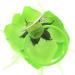 Topkids Accessories Rose Flower Hair Clip Hairband Floral Corsage Fascinator Hair Band Aligator Beak Grip for Women & Girls Wedding Prom Party Special Occasion (Neon Green) - Buy Online on GoSupps.com