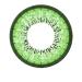 Matlens -EOS Colored contact lenses with strength Circle Lenses Green Green J -203 2 lentils 1 contact lens container 1 care product 50ml -2.75 Dioptria 8.6 millimeters 14.00 millimeters 2.0