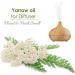 100% Pure Essential Yarrow Oil - Cold-Pressed Aromatherapy - Therapeutic Quality - 15ml - Global Shipping - Buy Online on GoSupps.com