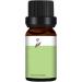 Tea Tree Massage Oil - Moisturizing Aroma Fragrance Oil for Relaxation & Skin Care | Gentle & Portable for Face & Body - Buy Online on GoSupps.com