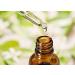 Horse Chestnut Oil Pure and Natural Oil | Firm Skin Skin Hydration Skin Toning Cosmetic Grade Hair Care and DIY Purpose - 100 ML Horse Chestnut Oil 100 ml (Pack of 1) - Buy Online on GoSupps.com