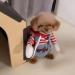 Chucky Dog Costume with Wig & Knife - Funny Halloween Cosplay for Dogs | Small Size - Buy Online on GoSupps.com