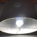 Black Flag BZB-10N 9W LED Light Bulb Bug Zapper White - Buy Online on GoSupps.com