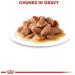 Royal Canin Sterilised Adult In Gravy Wet Cat Food 85g (Pack of 48) - Buy Online on GoSupps.com