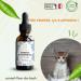 Bach Flowers Pets and Cleanliness Do you want to improve the cleanliness of your dog or cat This mixture is a natural solution to make your pet clean. Fl30ML Pack of 2 - Buy Online on GoSupps.com