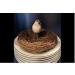 emours Natural Bird Nest Woven Vine Bird Finch House Bedding 2 Pack - Buy Online on GoSupps.com