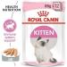 Royal Canin Kitten in Loaf Wet Food 85g (Pack of 48) - Buy Online on GoSupps.com