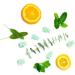 Happy Wax Best Sellers Collection - 6 oz Scented Natural Soy Wax Melts - Lemon Verbena, Eucalyptus Spearmint, Coastal Tide - Buy Online on GoSupps.com