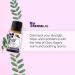 SenseLAB Clary Sage Essential Oil - 100% Pure Therapeutic Grade Oil for Diffuser, Humidifier, and Hair Care - Soothing Mood Balance Oil - 10ml - Buy Online on GoSupps.com