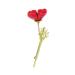 WIPPWER Pin Jewelry Gifts for Women Flowers Red Poppy Brooches for Women Remembrance Days Gifts Pins Brooches & Pins