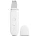 Face Skin Scrubber Blackhead Removal Tool Exfoliating Pore Pimple Cleansing Facial Lifting Instrument White