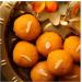 Festival Special Premium (Motichoor Laddu 2kg) Delicious Indian Traditional Sweets To Sweeten Up Your Celebration Best Gift For All Occasions Marriage Diwali Holi Sold By Kidzbuzz - Buy Online on GoSupps.com