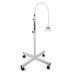 220V Dental Teeth Whitening Light Cold tooth whitening Bleaching device with LED display adjustable -bearing Professional tooth white device for dental teeth lighten