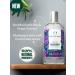 Black Grape Body Mist - 100ML | Vegan | Fresh & Juicy Fragrance - Buy Online on GoSupps.com