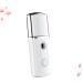 BIUDECO 2 Pcs Mini Face Spray Device Portable Facial Mister Mister Facial Face Steamer Mini White - Buy Online on GoSupps.com