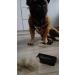 EzzyGroom Dog & Cat Brush | Professional Fur Brush & Grooming Comb for All Breeds - International Shipping Available - Buy Online on GoSupps.com