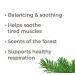 Plant Therapy Balsam Fir Essential Oil 10 mL - 100% Pure Therapeutic Grade - 0.34 Fl Oz - Buy Online on GoSupps.com