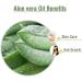 Salvia Aloe Vera (Aloe Barbadensis) Pure Natural Oil (15 ml with Dropper) Aloe Vera 15 ml (Pack of 1) - Buy Online on GoSupps.com