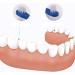 JINJIASUYISU 3Pcs Denture Brush - Dual Head Toothbrushes for Hard Denture Cleaning - Buy Online on GoSupps.com