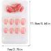 dijiusidy False Nail Perfect Matching Simple to Wear Fingernail Full Coverage Press Type Strong Viscosity Adjustable Paster Type 12 F741 Type 12 F741 - Buy Online on GoSupps.com