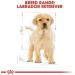 Royal Canin BHN Labrador Retrev Jr 3000 g - Buy Online on GoSupps.com