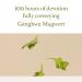 Mugwort Gel Cleanser 150ml | Soothing Low pH Herbal Face Wash for Sensitive Skin | Vegan & Hypoallergenic - Buy Online on GoSupps.com