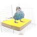 Colorful Bird Perch Stand Platform Natural Wood Playground Paw Grinding Clean for Pet Parrot Budgies Parakeet Cockatiels Conure Lovebirds Rat Mouse Cage Accessories Exercise Toys Random