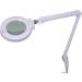 Buy Lumeno 8245PRO LED Magnifying Lamp - 177mm Glass Lens Dimmable & Durable Metal Housing for Reading & Foot Care | 5 Diopters - Buy Online on GoSupps.com