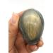 1PC Natural Labradorite Egg Crystal Crystals Gemstone Specimen Home Decor Gifts Natural Stones and Minerals - Buy Online on GoSupps.com