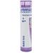 Boiron Hekla Lava 1M Homeopathic Medicine for Toothache - 80 Pellets 75 pellets