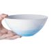 White Ceramics Bowl Tableware Rice Bowl Noodle Bowl Nordic Salad Bowl Simple Soup Bowl 2 Colors 2 Sizes Optional Kitchenware (Color : Blue Size : 17.2x7.2cm) 17.2x7.2cm Blue
