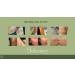 Effective Skin Care Solutions: Cure Acne Psoriasis Sunspots & Scars Shop Internationally - Buy Online on GoSupps.com