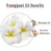 Crysalis Frangipani Oil (Plumeria) Oil |100% Pure & Natural Undiluted Essential Oil Organic Standard| Perfect for Massage Oil |Aromatherapy Oil| 30ml with Dropper Frangipani 30 ml (Pack of 1) - Buy Online on GoSupps.com