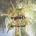 Buy MyFruits Dried Coconut Chips 150g - 100% Natural Coconut Strips | Healthy Snack | International Shipping - Buy Online on GoSupps.com