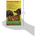 Buy Lucky Reptile Tortoise Candy 70g - Special Delicacy for Land Turtles & Herbivorous Reptiles - Premium Mixed Feed Treat - Buy Online on GoSupps.com