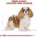 Royal Canin Cavalier King Charles Adult Dry Dog Food 7.5kg - Buy Online on GoSupps.com