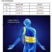 KouRy Adjustable Posture Corrector - Waist & Shoulder Brace for Back Support | Men Women & Kids | Size M - International Shipping Available - Buy Online on GoSupps.com