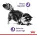 ROYAL CANIN Appetite Control Care | Pack of 3 | 3 x 400 g | Dry Food for Adult Cats | Recommended to Control Begging Behavior | Also for Castrated Cats - Buy Online on GoSupps.com