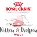 Royal Canin Kitten 36 Dry Mix 400 g (Pack of 4) Poultry 400 g (Pack of 4) - Buy Online on GoSupps.com