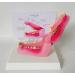 Dog Teeth Model Canine Dental Model Canine Dental Model Dog Canine Tooth Anatomy Model Canine Veterinary Skeleton Veterinary Teaching PVC for Veterinary Office Educational Tool.