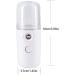 Facial Mister Portable Mini Face Sprayer USB Rechargeable Facial for Hydratin Pink Face Sprayer - Buy Online on GoSupps.com