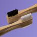 Smilebite Bamboo Toothbrush - Eco-Friendly Vegan Plastic-Free Dental Care for Adults | Black Nylon Bristles - Buy Online on GoSupps.com