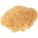 Croll & Denecke Natural Sponge G5 - 19cm | Eco-Friendly Soft & Durable | International Shipping Available - Buy Online on GoSupps.com