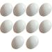10Pcs Plastic Eggs - Simulated Bird Eggs for Parrots & Racing Pigeons | Bird Supplies Worldwide Shipping - Buy Online on GoSupps.com