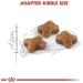 Royal Canin Kitten Dry Cat Food 2kg - Premium Nutrition for Growing Cats - Buy Online on GoSupps.com
