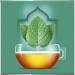 DOLCE GUSTO - Nescaf Capsules Type Marrakech Tea 82G - Lot Of 3 - Offre Special - Buy Online on GoSupps.com
