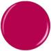 China Glaze Fuchsia Fanatic Nail Polish 14ml - Buy Online on GoSupps.com